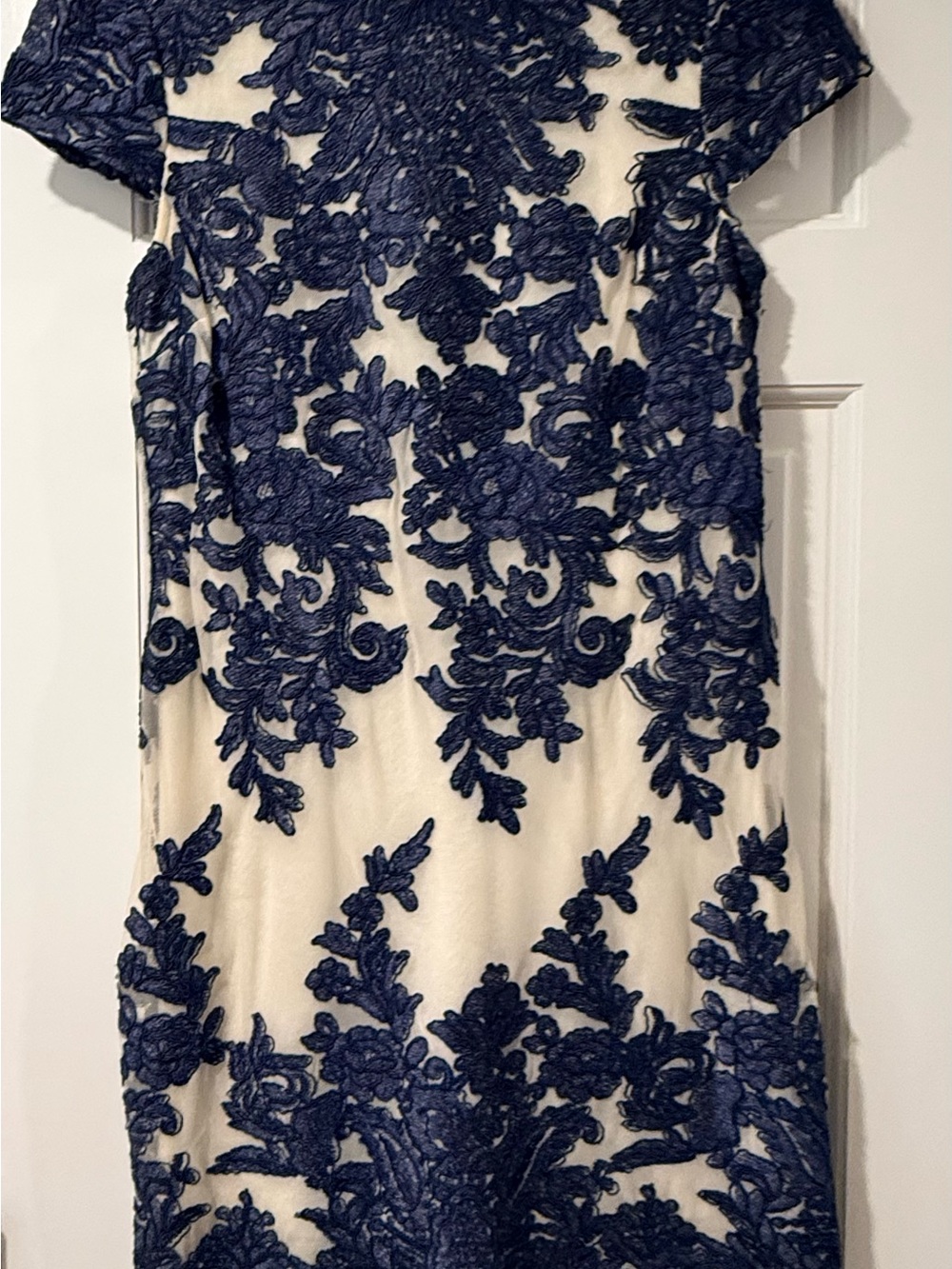 Vera wang Navy Lace Overlay Dress on Cream - Women's Formal Dress